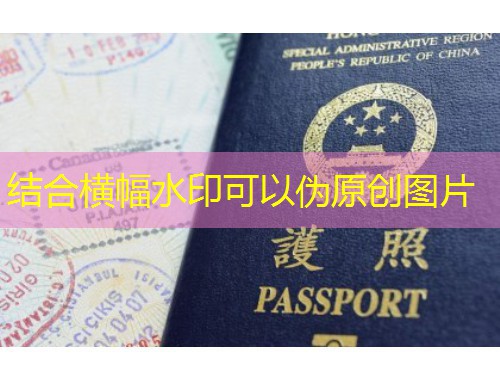 哪家移民公司好？三步锁定靠谱伙伴，少走90%弯路